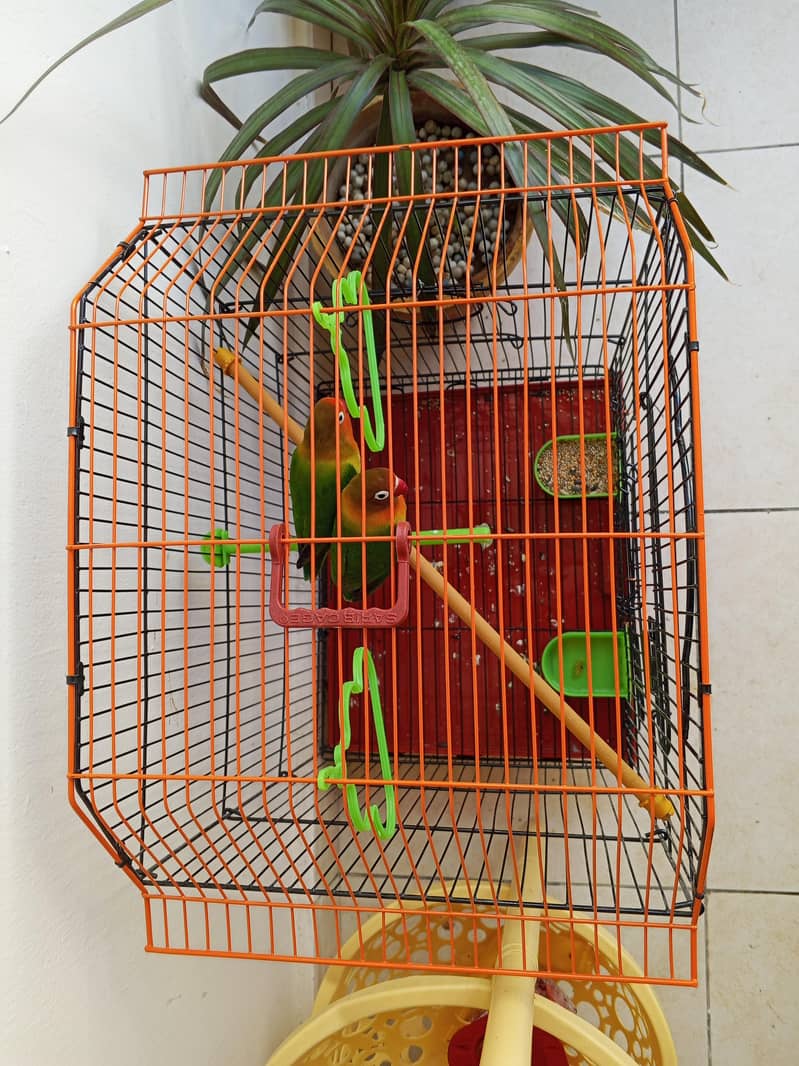 fisher pair 2