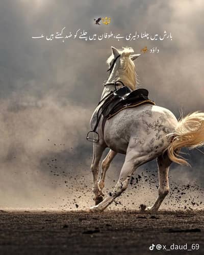 private security ki job h to call me