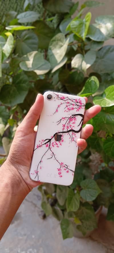 iPhone SE (2020) - Lush Condition