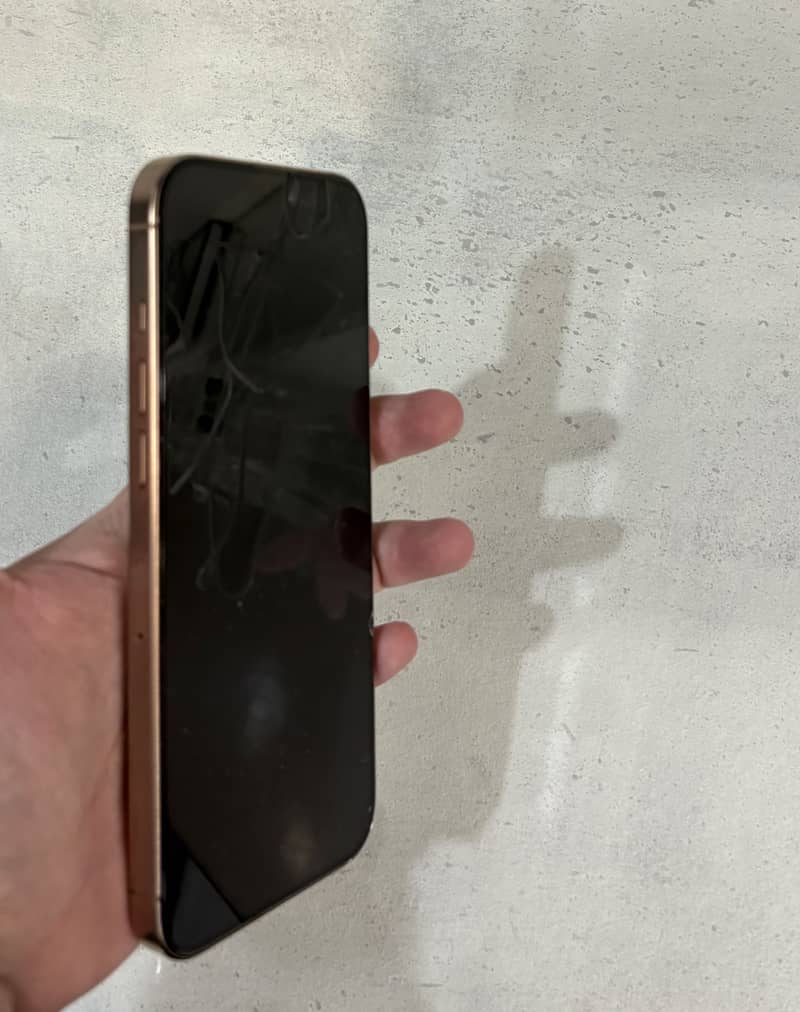 Apple iPhone 16 Pro Max 3