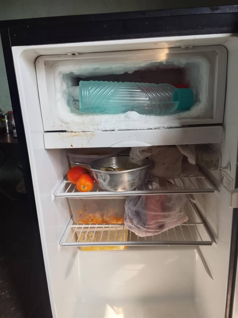 pel fridge 1