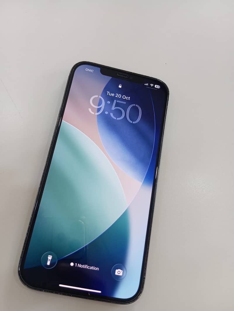 Apple iPhone 12 Pro Max 1