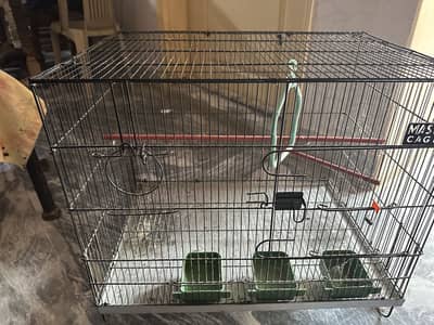 Parrot cage