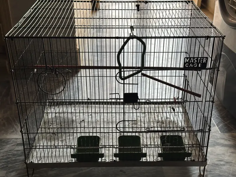 Parrot cage — photo 2