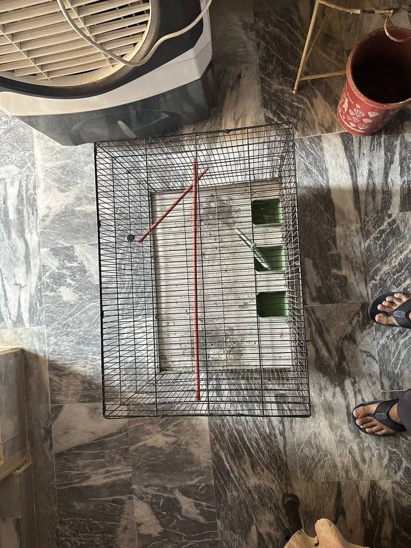 Parrot cage — photo 3
