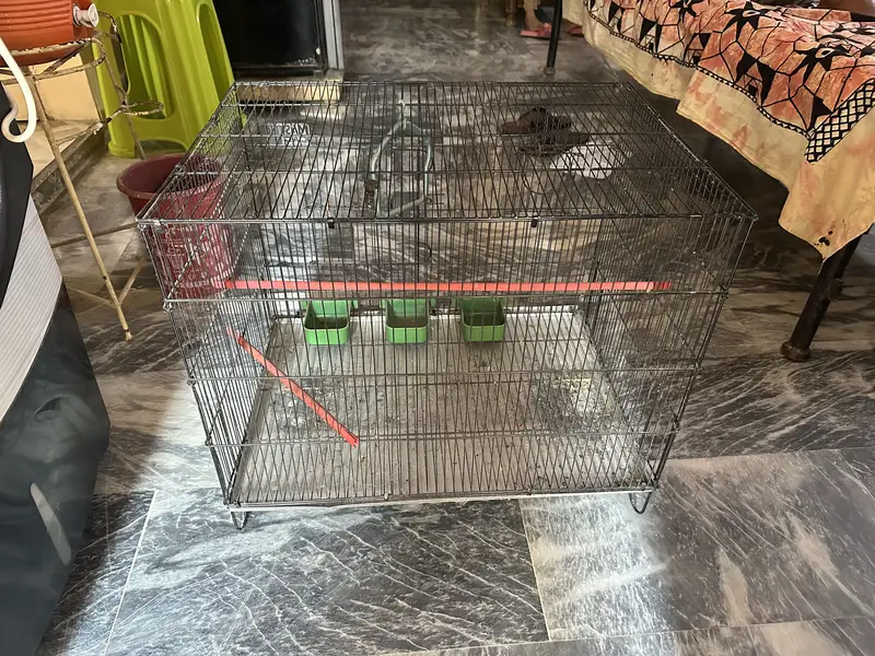 Parrot cage — photo 4