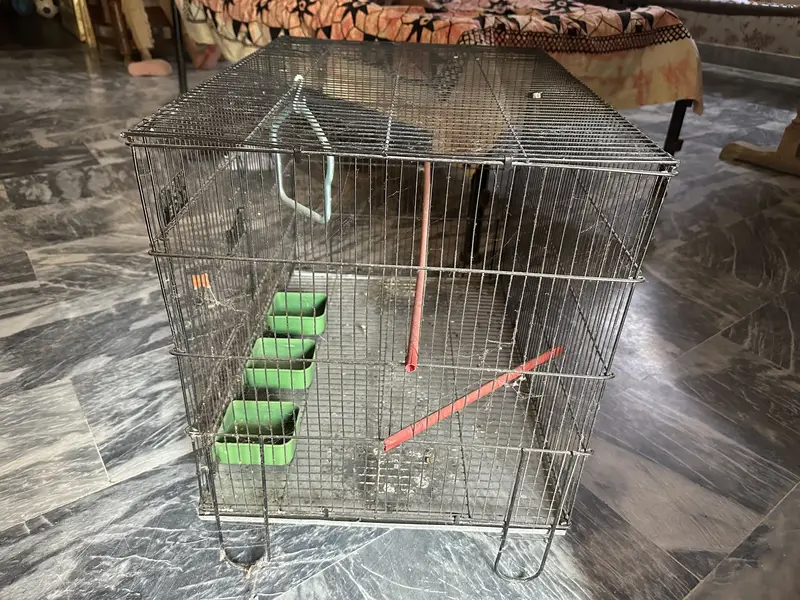 Parrot cage — photo 5
