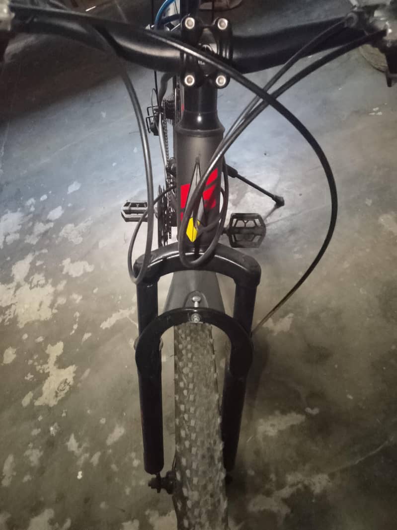 Scot cycle 6