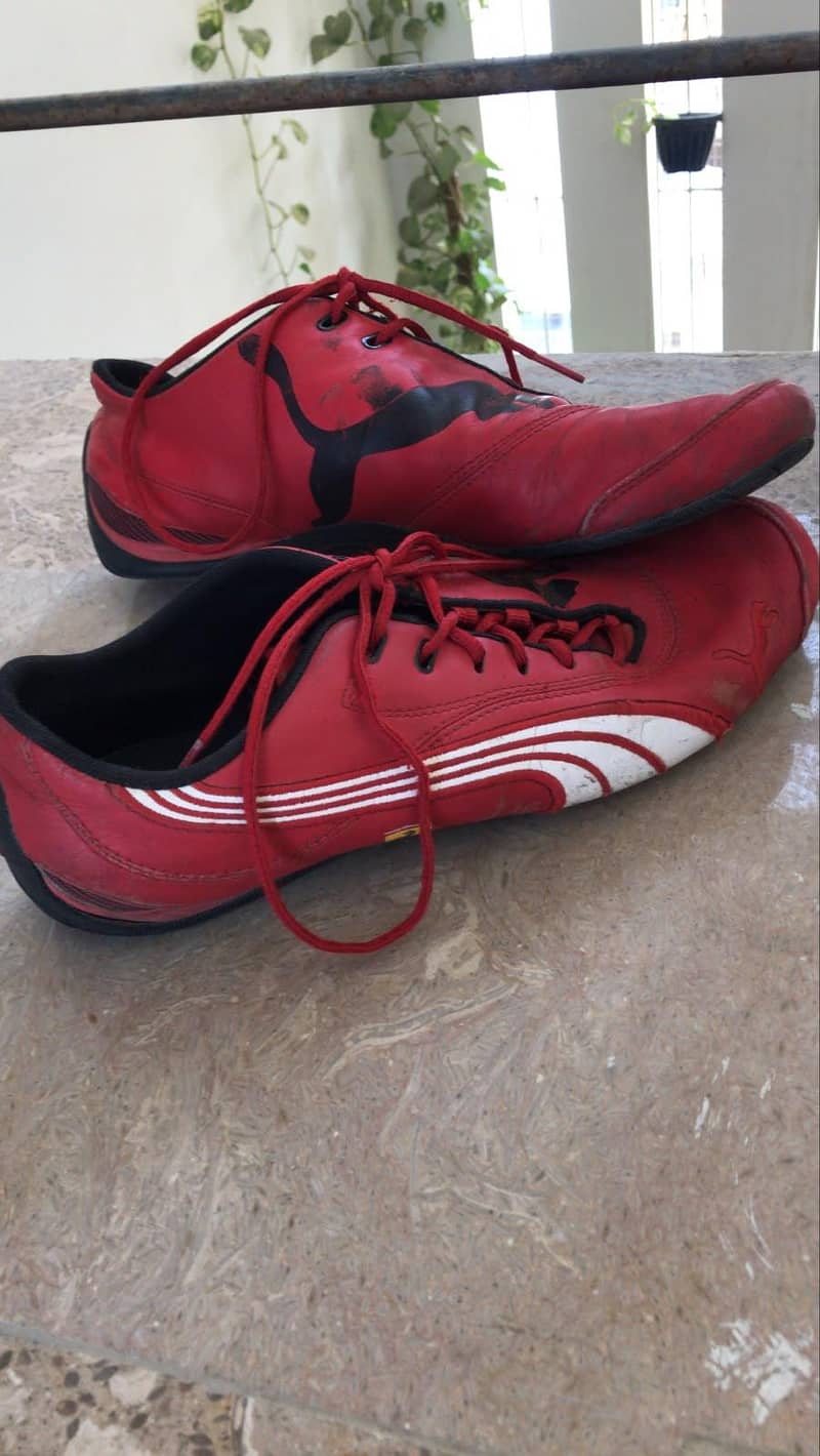 grippers 1