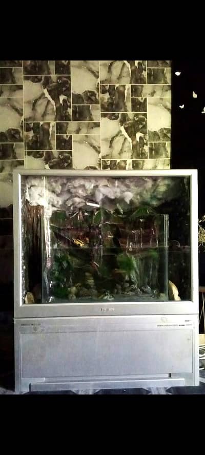 Luxury Living Art Aquarium - Designer Acrylic with LED Light