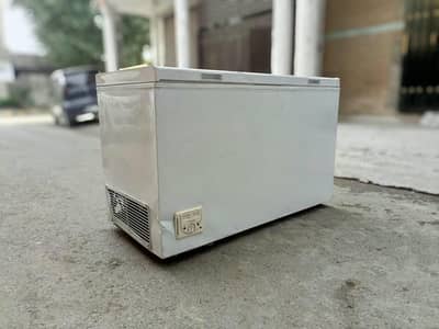 Caravell Deep freezer Single door /0346/7070/370