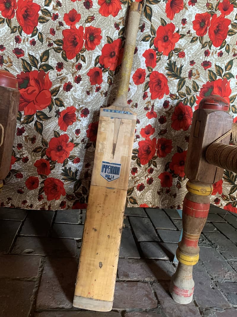 Cricket kit 4