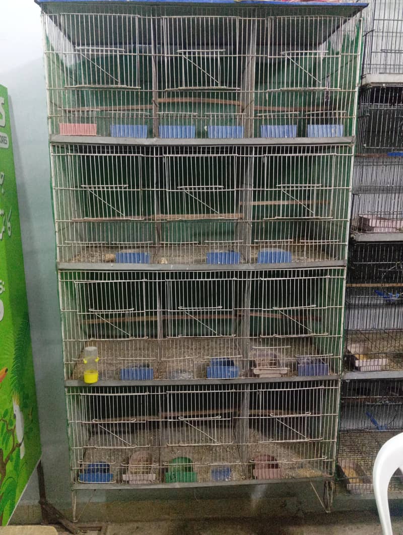 Iron Cage 1