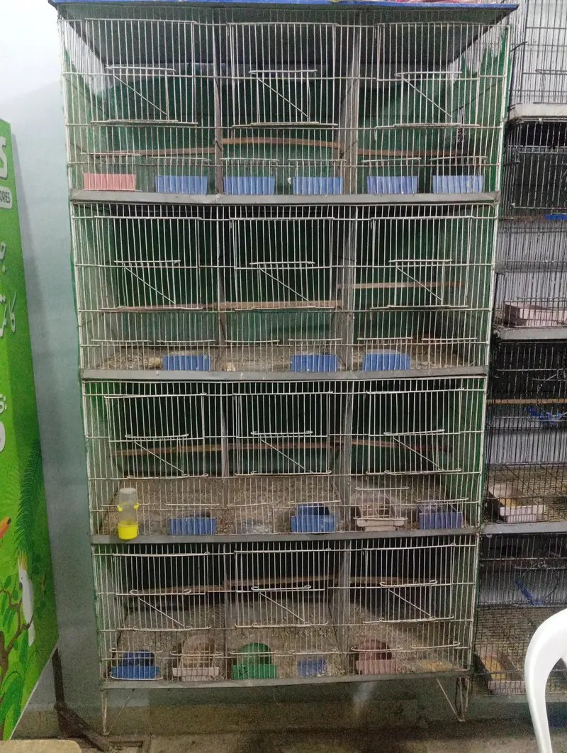 Iron Cage — photo 2