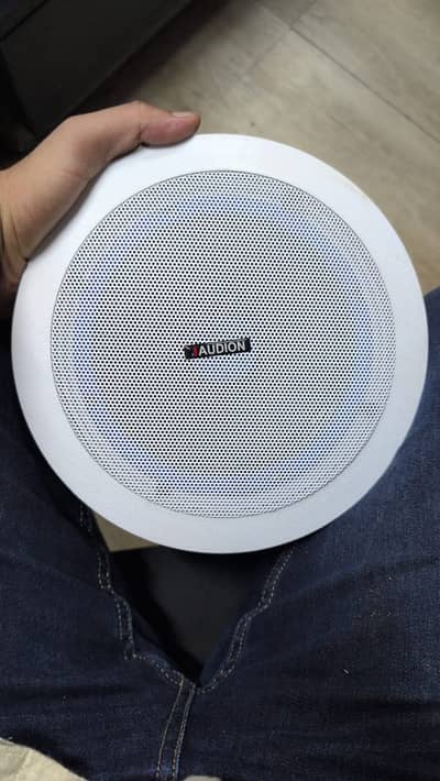 CEILING SPEAKERS FOR HOME OFFICES