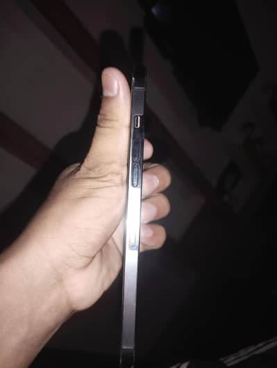 Apple iPhone 12 Pro Max
