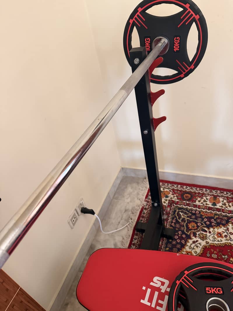 Bench Press with Weights 2
