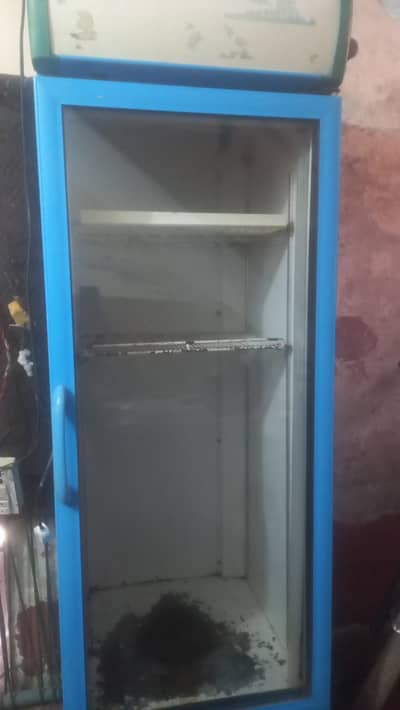commercial display freezer