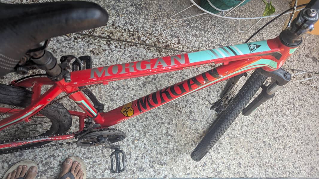 Morgan 26" red 1