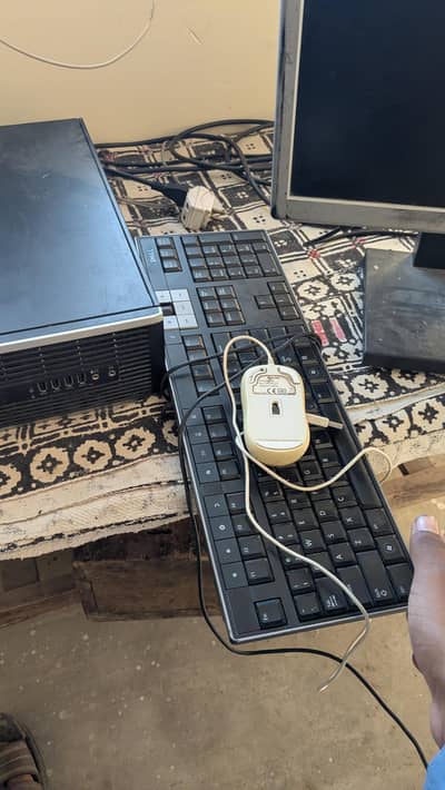 Hp 8000