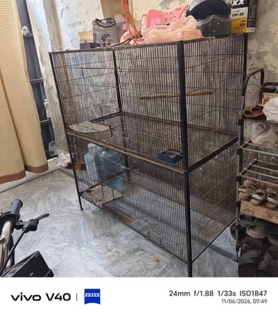 Bird cage