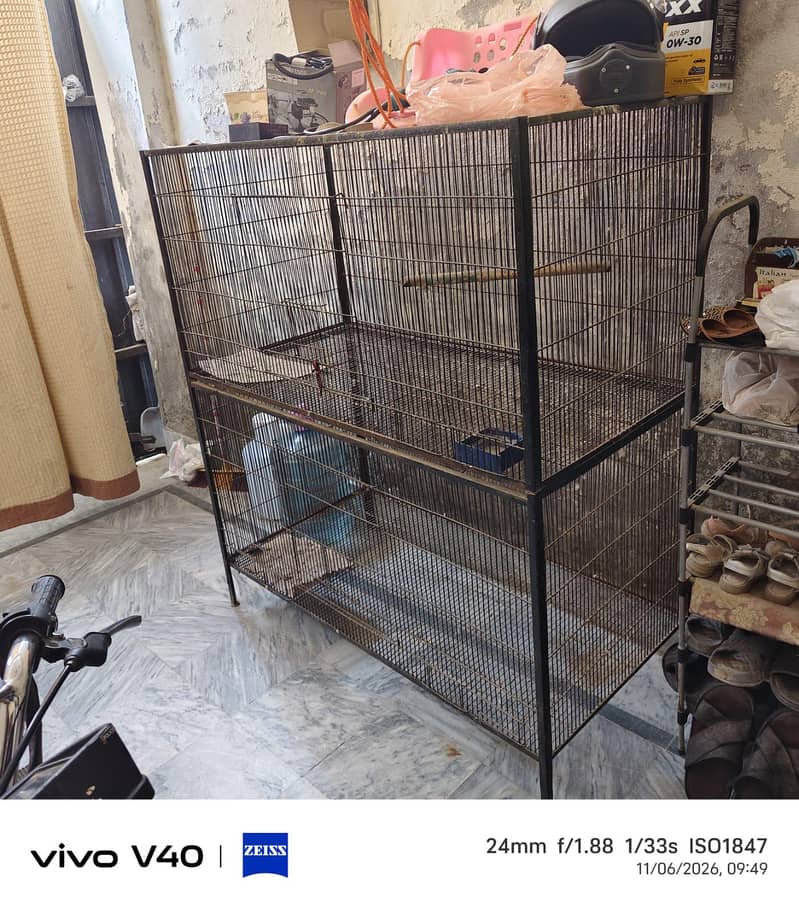 Bird cage 0