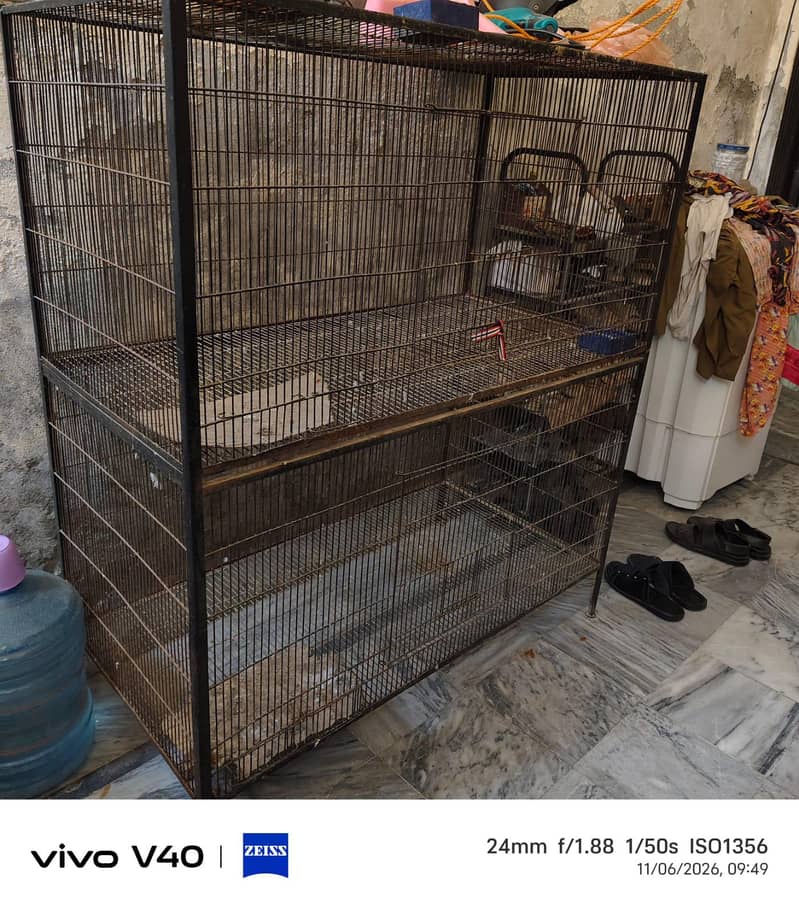 Bird cage 1
