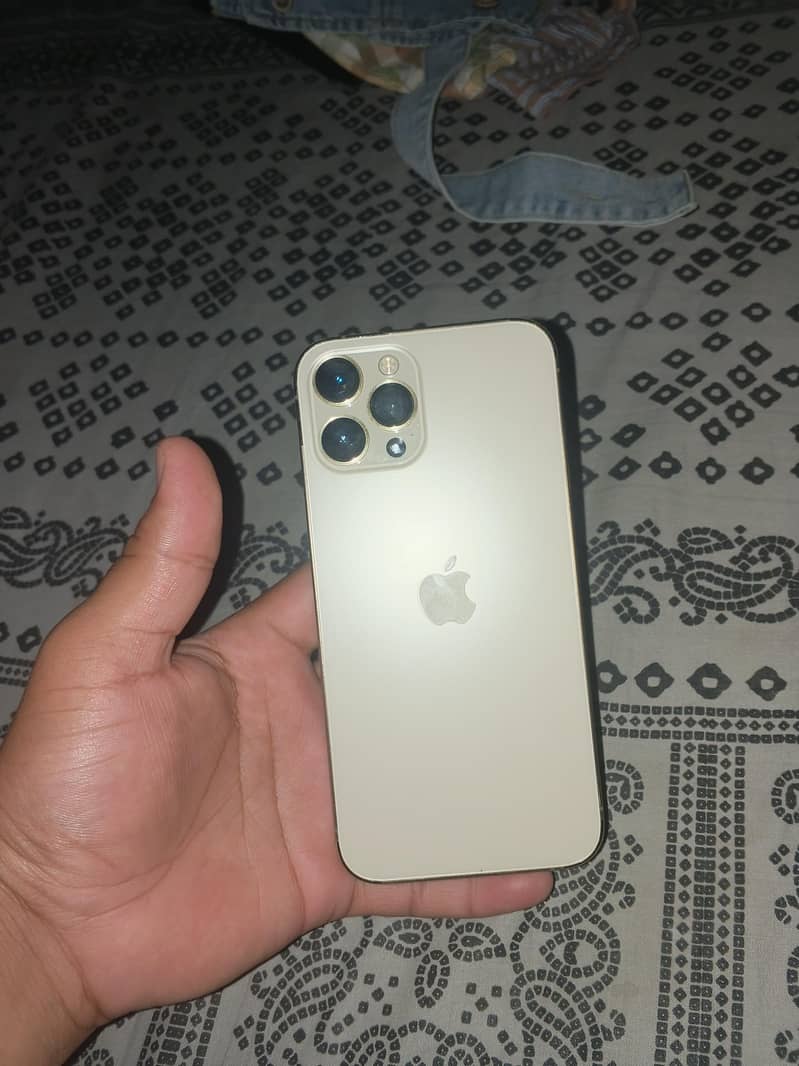 Apple iPhone 12 Pro Max 2