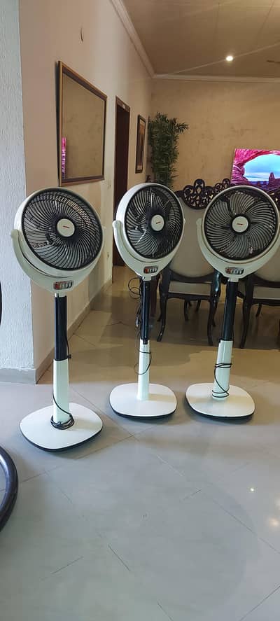 Royal Pedastal Fans Slightly used