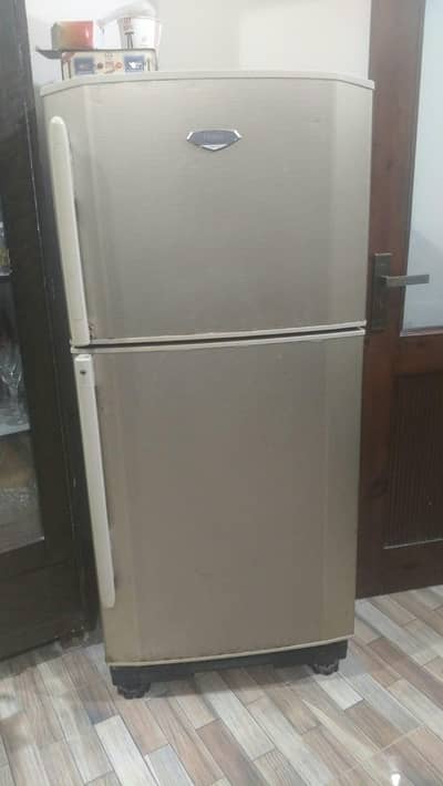 frieg good  condition