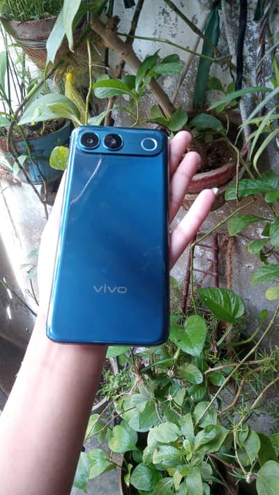 Vivo V80 Lite 5G