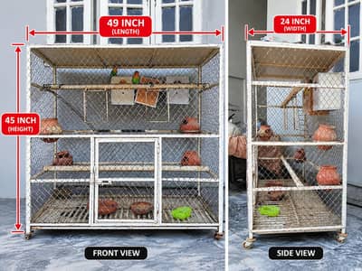 3 pairs of love birds including the cage and breeding boxes