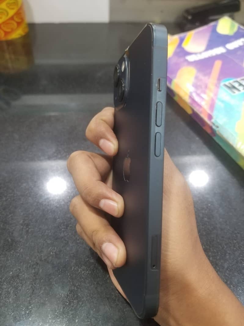 Apple iPhone 13 0