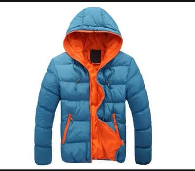 men's winter warm jacket _ new style 2026