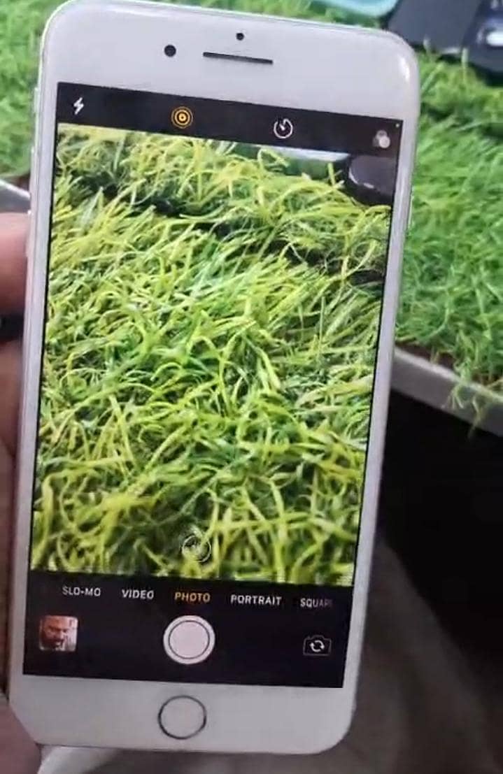 Apple iPhone 8 Plus 0