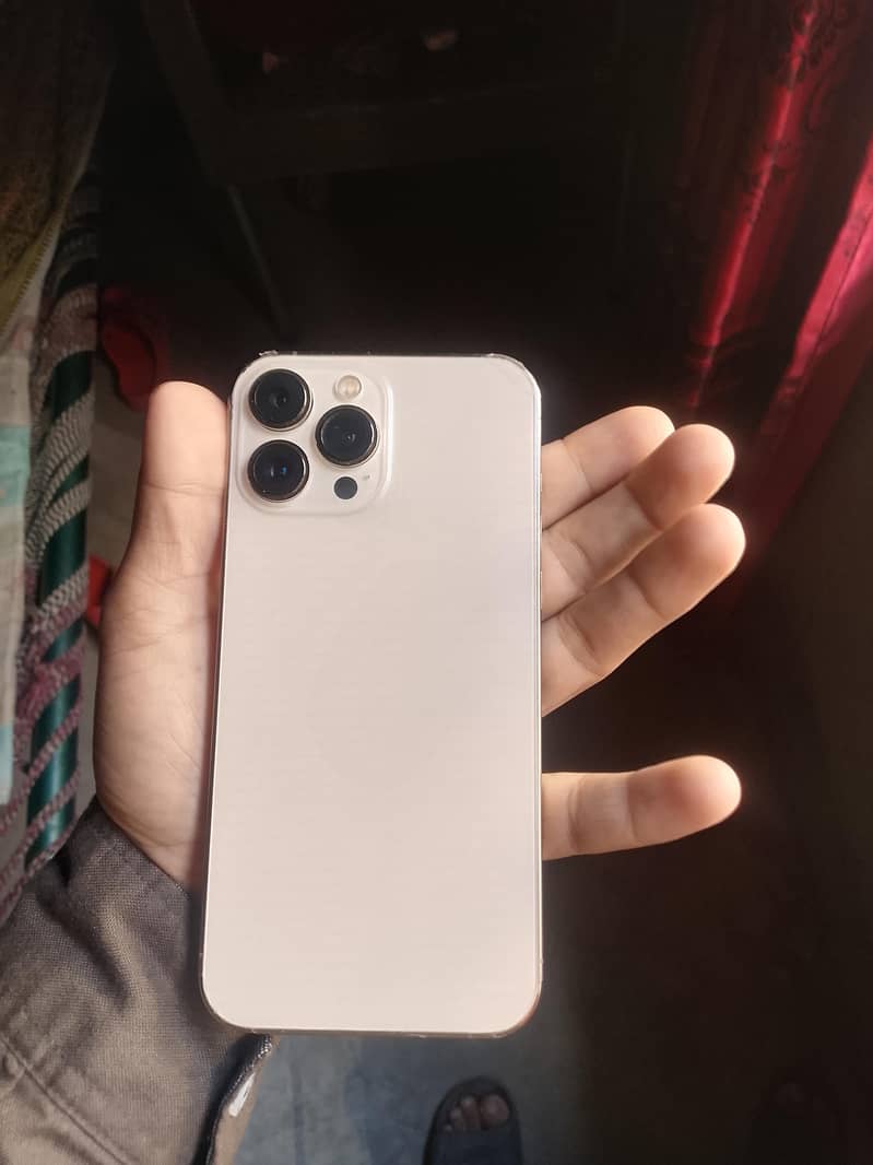 Apple iPhone 13 Pro Max 1