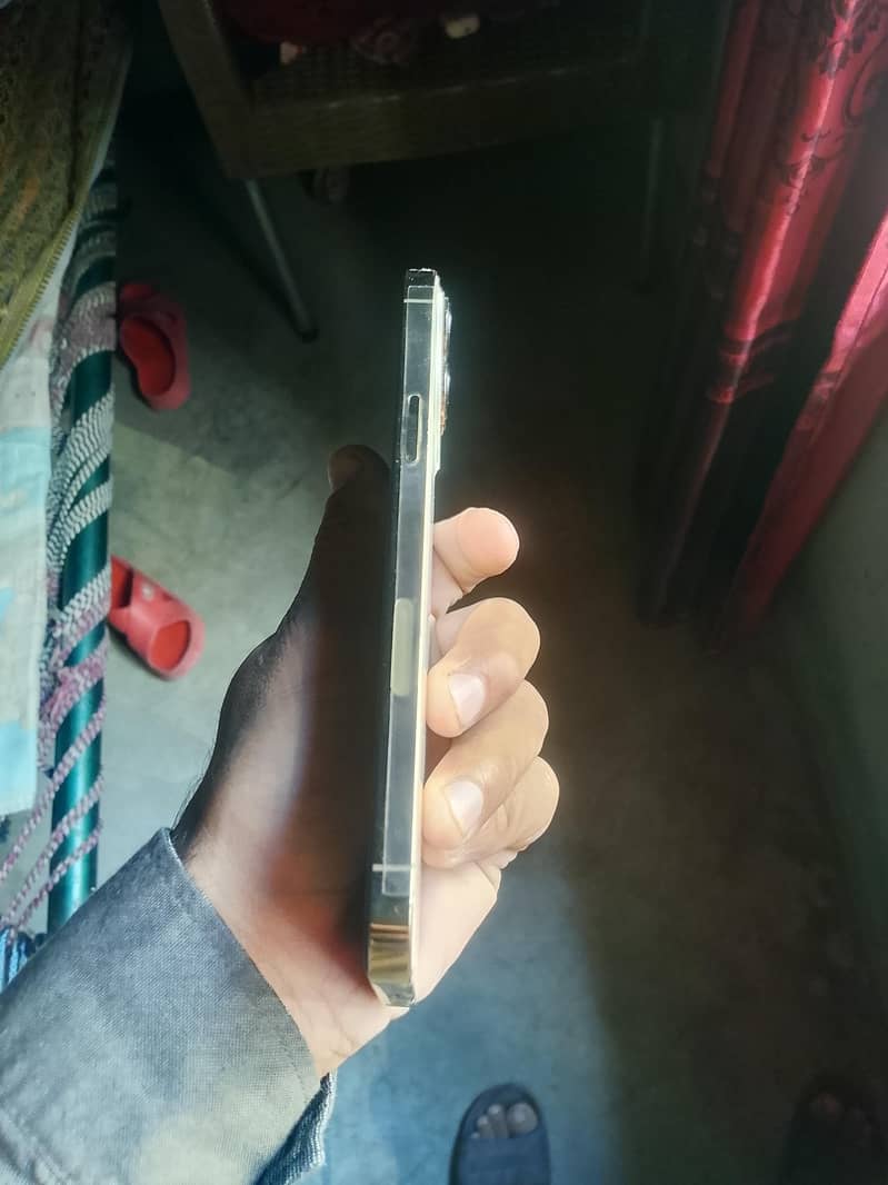 Apple iPhone 13 Pro Max 2
