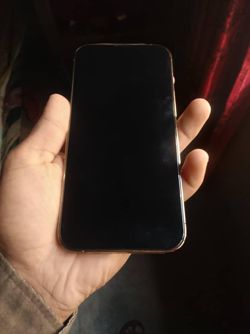 Apple iPhone 13 Pro Max 5