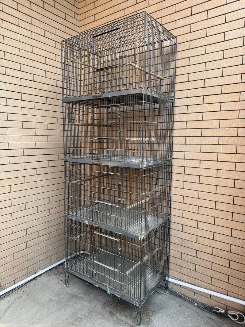Parrot Cage for Sale | Size 2.5 × 1.5 × 1.5 WhatsApp only 03208104949 — photo 3