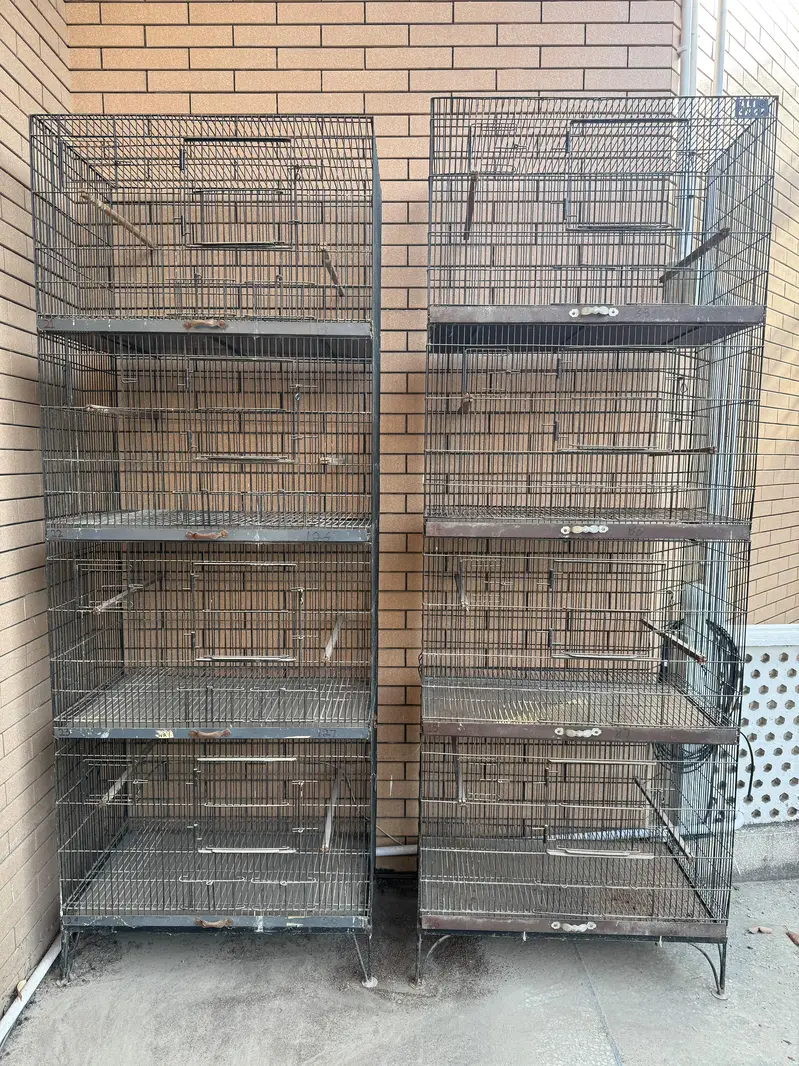 Parrot Cage for Sale | Size 2.5 × 1.5 × 1.5 WhatsApp only 03208104949 — photo 4
