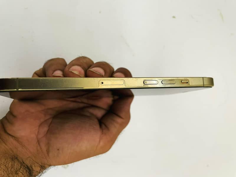 Apple iPhone 12 Pro Max 2
