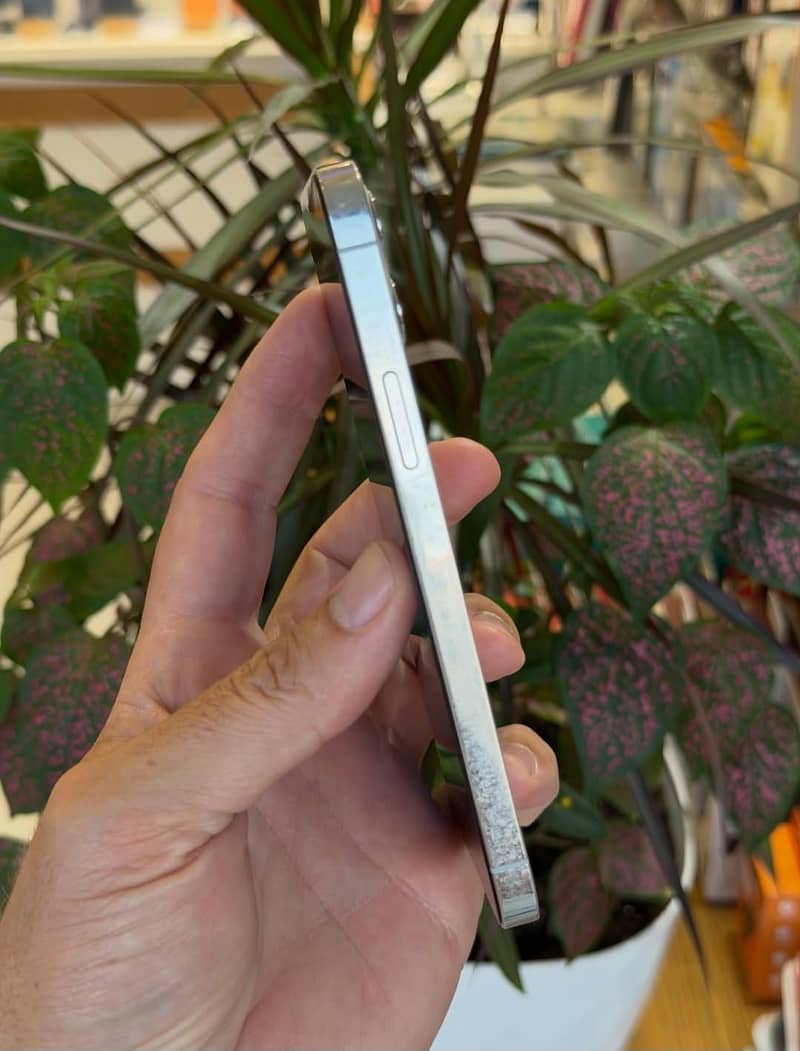 Apple iPhone 12 Pro 3