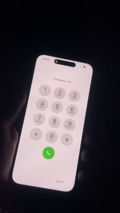 Apple iPhone 14 Pro Max original panel