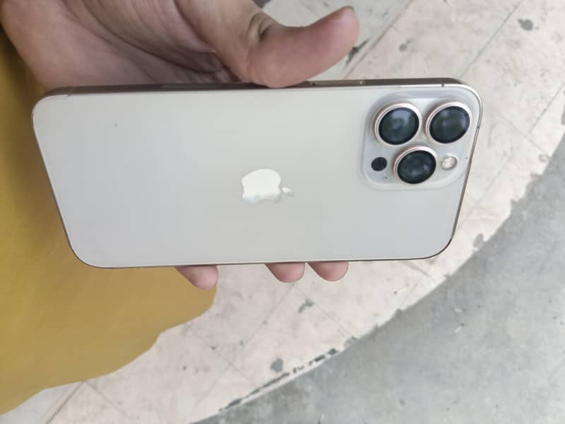 Apple iPhone 13 Pro Max 1