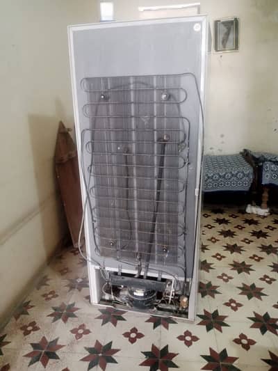 Fridge