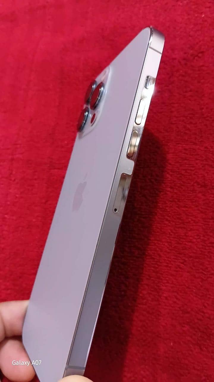 Apple iPhone 13 Pro Max 1