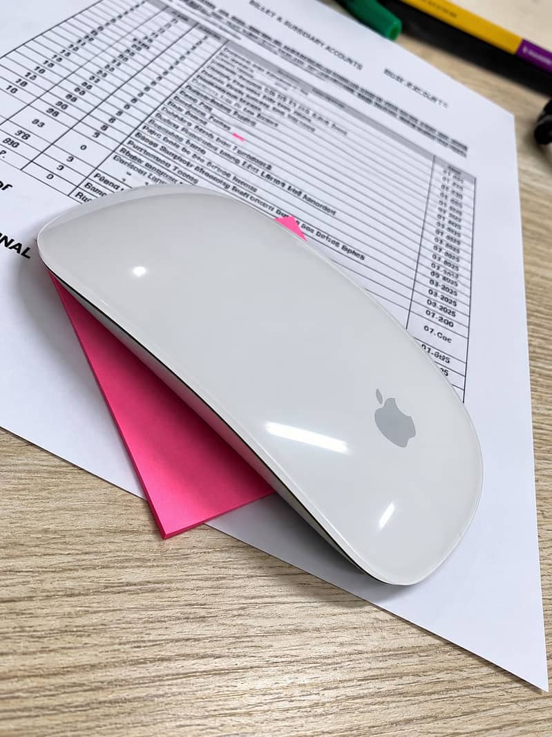 Magic mouse 2 0