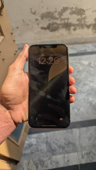 Apple iPhone 12 Pro Max