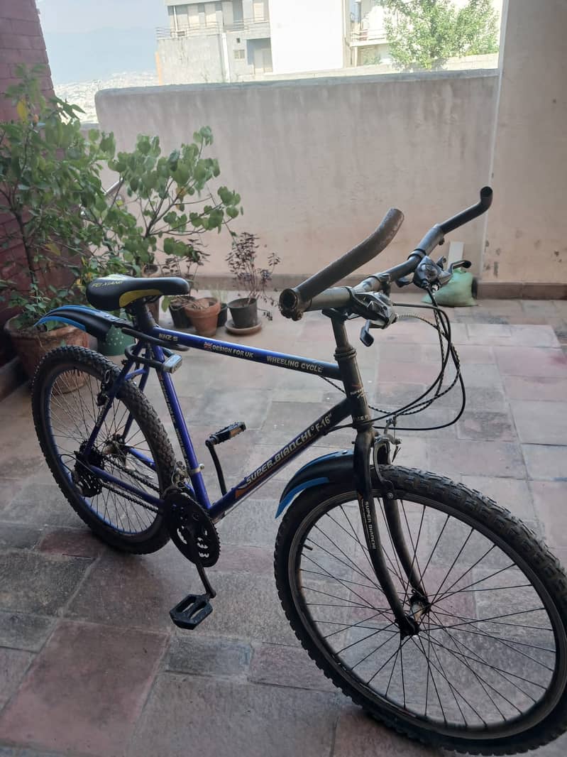 SUPER BIANCHI 1