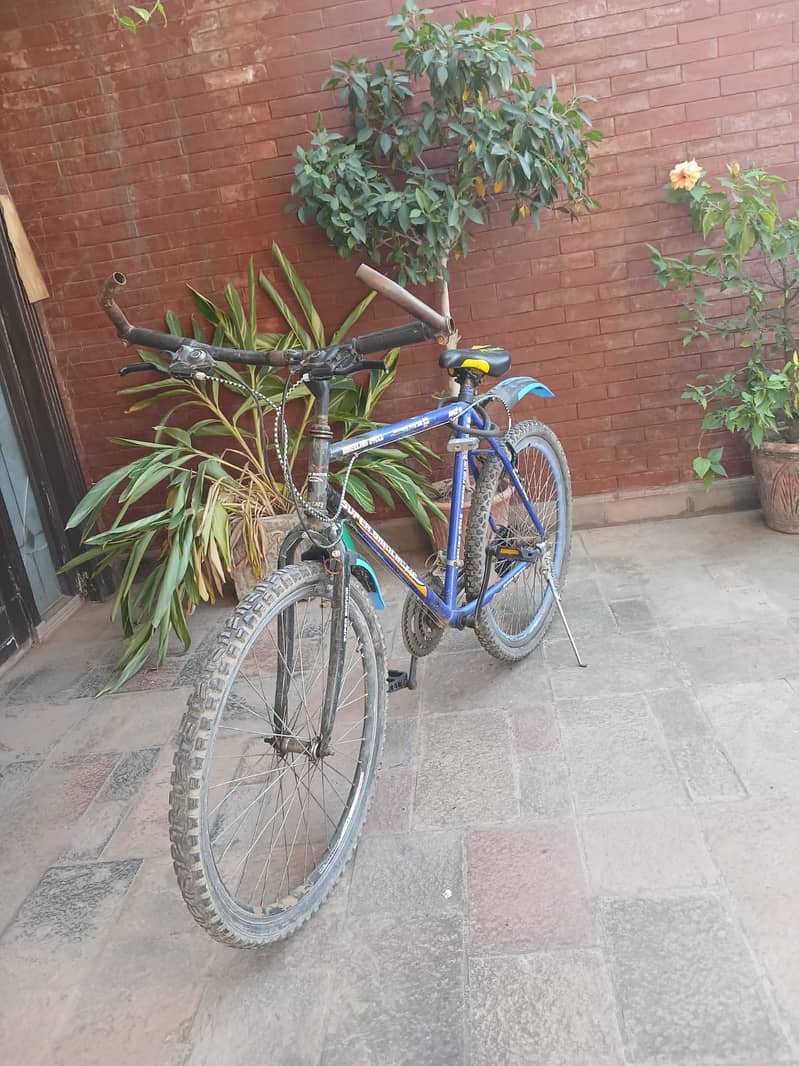SUPER BIANCHI 2